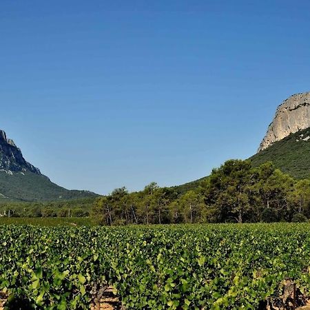 Gite Du Pic Saint Loup Valflaunes المظهر الخارجي الصورة