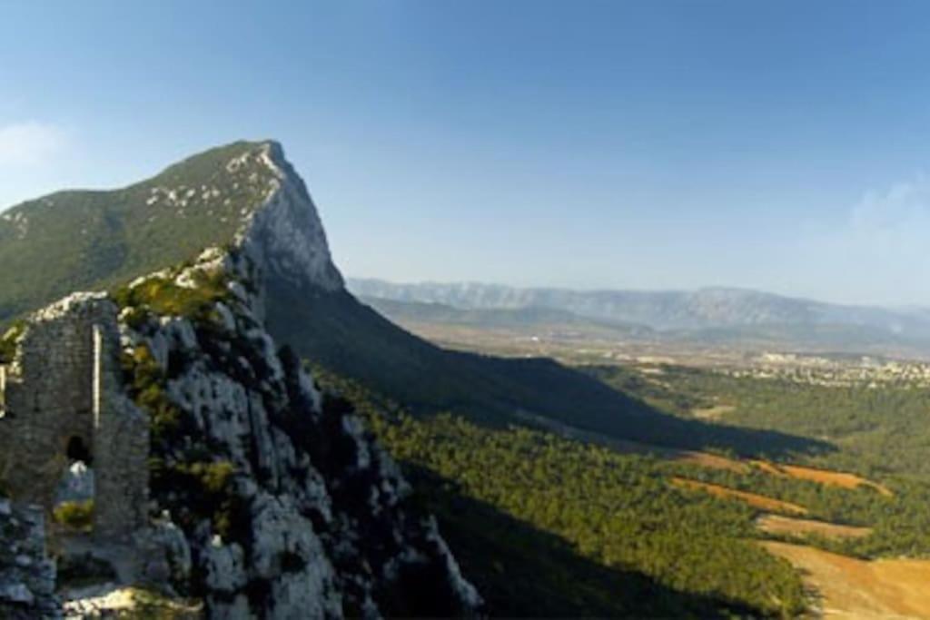Gite Du Pic Saint Loup Valflaunes المظهر الخارجي الصورة